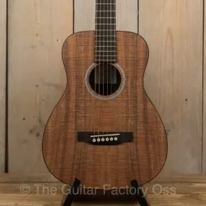 Martin-lx2-little-martin