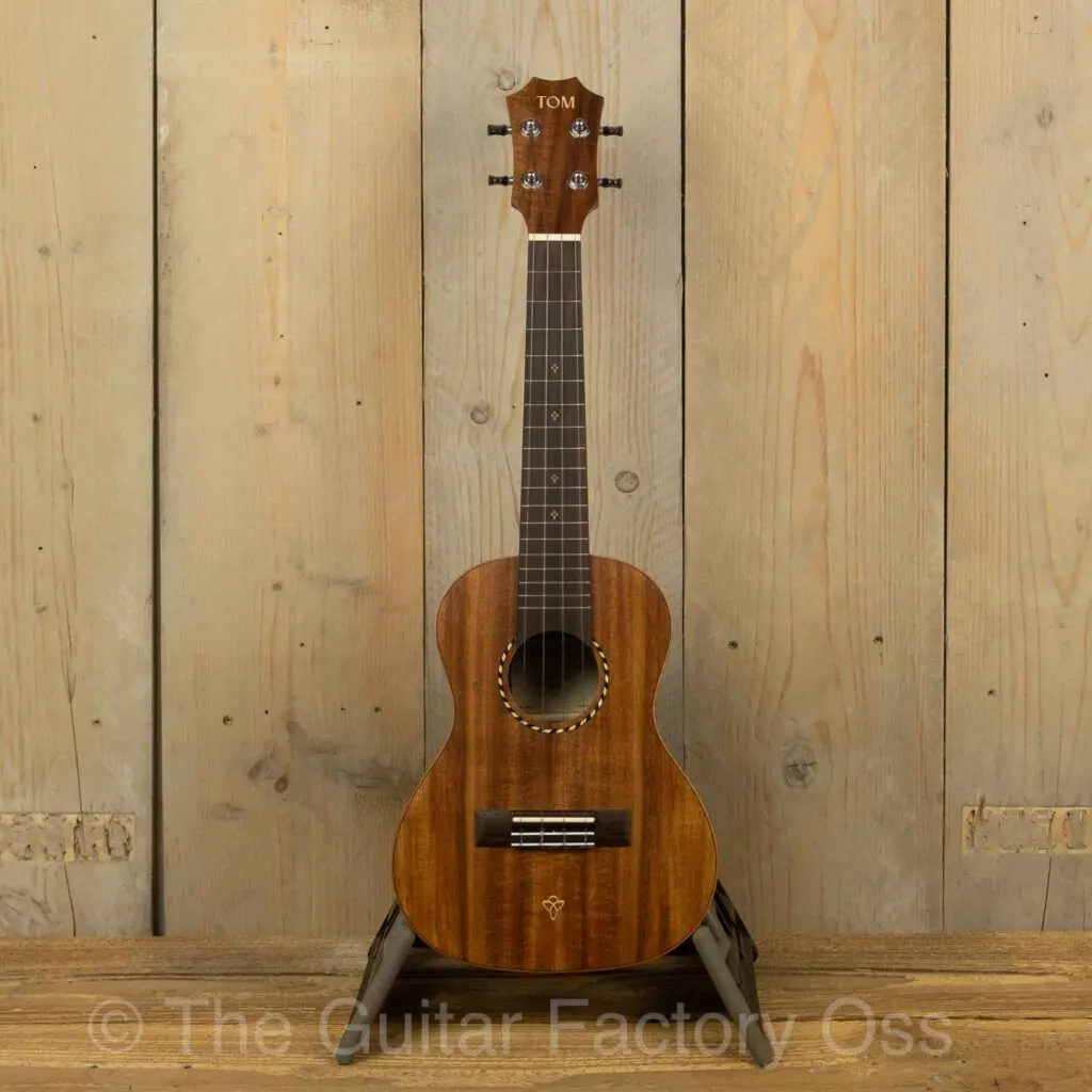 Tom-ukelele-m3-concert